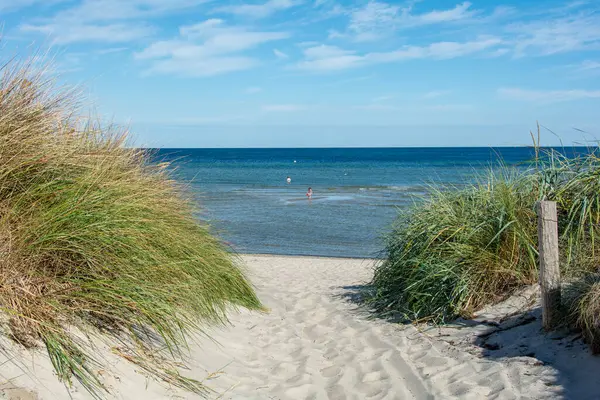 Path between the sand dunes overlooking the sea  with blue sky