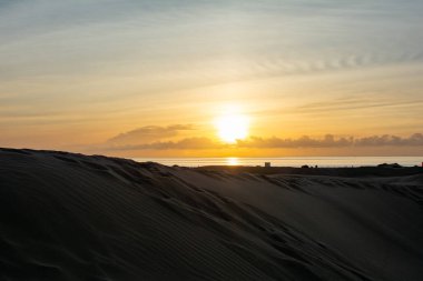 İspanya 'daki Gran Canaria' da Maspaloma 'nın kumullarında. Dev kum tepeleri küçük bir çöle benzer ve doğa koruma alanıdır..