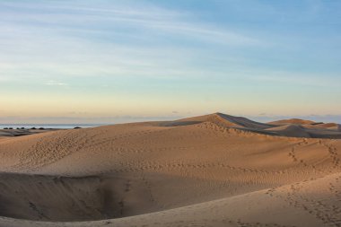 İspanya 'daki Gran Canaria' daki Maspaloma 'nın kumullarında. Dev kum tepeleri küçük bir çöle benzer ve doğa koruma alanıdır..