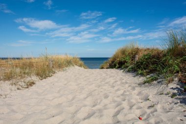 Mavi gökyüzü ile denize bakan kum tepeleri arasındaki yol. 