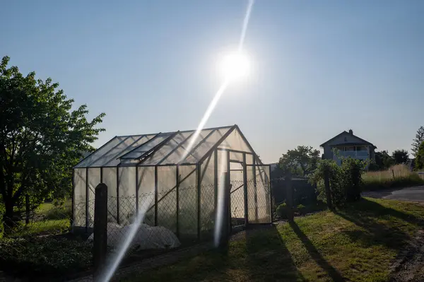 Greenhouse in a fenced garden on the outskirts of town with bright sun and blue sky