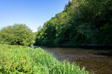 Eder - Almanya 'da yeşil bir arazide bir nehir