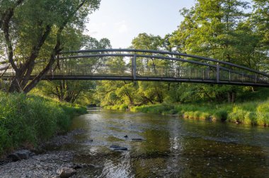 Almanya 'daki Eder Nehri' nin sularının kıyıdan görünüşü.