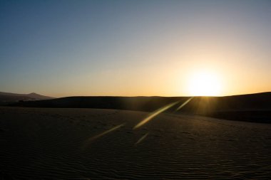 İspanya 'daki Gran Canaria' da Maspaloma 'nın kumullarında. Dev kum tepeleri küçük bir çöle benzer ve doğa koruma alanıdır..