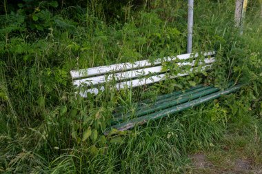 Yeşil bitkilerle kaplı eski bir bank.