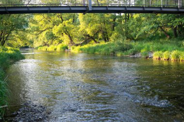 Almanya 'daki Eder Nehri' nin sularının kıyıdan görünüşü.