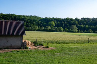 Samanlıkları ve güneş ışığında yeşil doğası olan eski ahır.