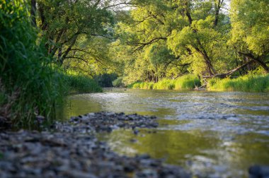 Eder - Bulanık bir ön planı olan yeşil bir arazide Almanya 'da bir nehir