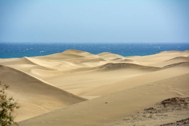 İspanya 'daki Gran Canaria' daki Maspalomlar 'ın kumulları, deniz ve mavi gökyüzü. Dev kum tepeleri küçük bir çöle benzer ve doğa koruma alanıdır..