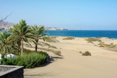 Maspaloma 'nın kum tepecikleri, Gran Canaria, İspanya ve Avrupa' nın Kanarya Adası 'ndaki bir kasabaya bakıyor. Dev kum tepeleri küçük bir çöle benzer ve doğa koruma alanıdır..