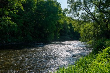 Eder - Almanya 'da yeşil bir arazide bir nehir