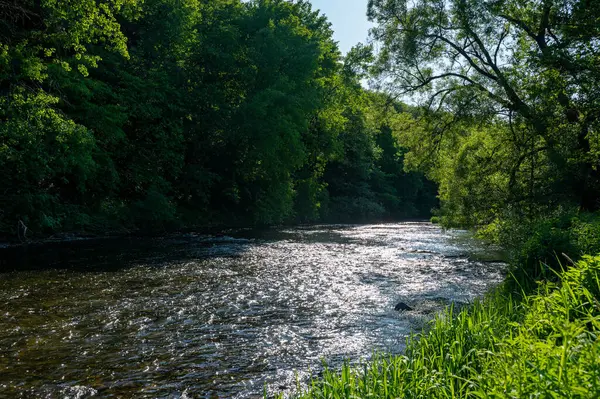 Eder - Almanya 'da yeşil bir arazide bir nehir