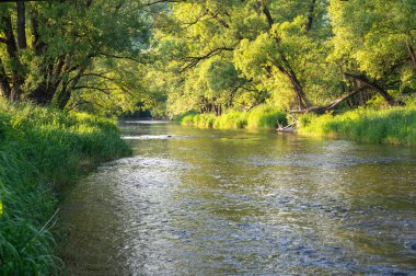 Eder - Almanya 'da yeşil bir arazide bir nehir