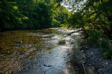 Eder - Almanya 'da yeşil bir arazide bir nehir
