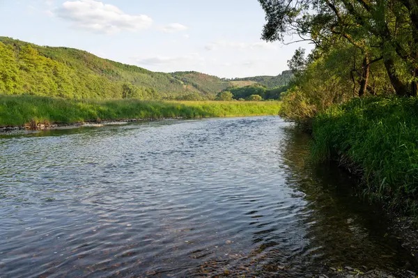 Eder - Almanya 'da yeşil bir arazide bir nehir
