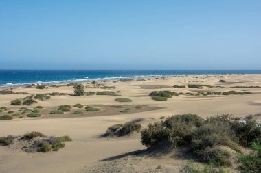 İspanya 'daki Gran Canaria' da kumsal ve Maspaloma 'nın kumulları. Mavi gökyüzü ile deniz manzarası. Dev kum tepeleri küçük bir çöle benzer ve doğa koruma alanıdır..