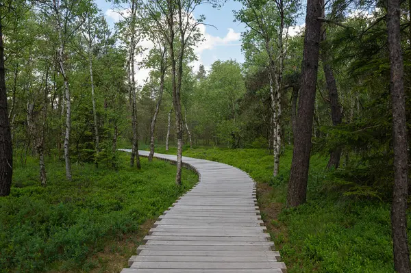 stock image Black Moor in the Rhoen, Bavaria, Germany, with a new wooden path