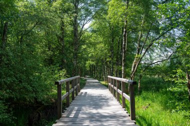 Rhoen, Bavyera, Almanya 'da köprüsü ve ağaçları olan siyah bozkır, yeni bir bozkır yolu ile