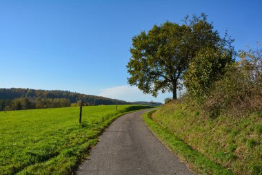 Yeşil çayırlar ve mavi gökyüzü olan bir ağaç arasındaki köy yolu.