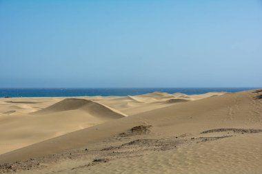 İspanya 'daki Gran Canaria' daki Maspalomlar 'ın kumulları, deniz ve mavi gökyüzü. Dev kum tepeleri küçük bir çöle benzer ve doğa koruma alanıdır..