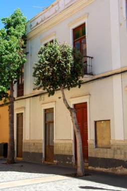 Old house with balcony and a tree in Spain on the Canary Island of Gran Canaria clipart