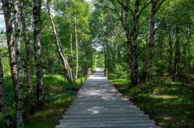 Rhoen, Bavyera, Almanya 'da köprüsü ve ağaçları olan siyah bozkır, yeni bir bozkır yolu ile
