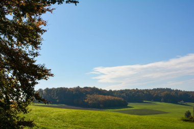 Yeşil çayırlı manzara, mavi gökyüzü ve ağaçlarla