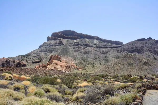 İspanya 'nın Tenerife Kanarya Adası' ndaki El Teide Ulusal Parkı 'ndaki volkanik manzara