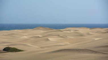 İspanya 'daki Gran Canaria' daki Maspalomlar 'ın kumulları, deniz ve mavi gökyüzü. Dev kum tepeleri küçük bir çöle benzer ve doğa koruma alanıdır..