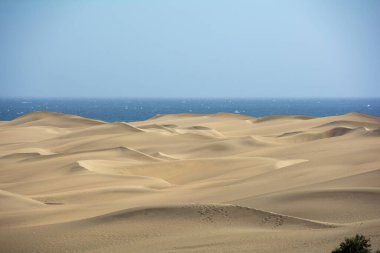 İspanya 'daki Gran Canaria' daki Maspalomlar 'ın kumulları, deniz ve mavi gökyüzü. Dev kum tepeleri küçük bir çöle benzer ve doğa koruma alanıdır..