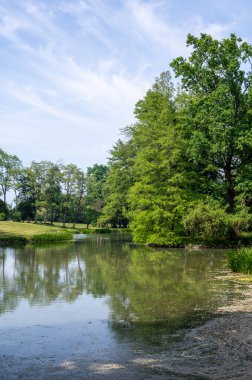 Parkta küçük bir göl, mavi gökyüzü olan yeşil bir manzara.