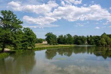 Parkta küçük bir göl, mavi gökyüzü olan yeşil bir manzara.