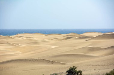İspanya 'daki Gran Canaria' daki Maspalomlar 'ın kumulları, deniz ve mavi gökyüzü. Dev kum tepeleri küçük bir çöle benzer ve doğa koruma alanıdır..