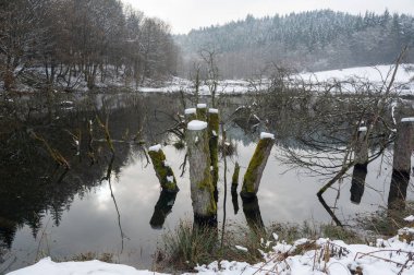 Suda ağaç gövdeleri olan küçük bir göl, ormanla birlikte ve sudaki yansımalarla, kışın karla
