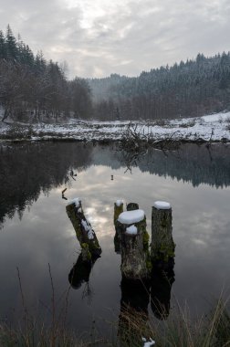 Suda ağaç gövdeleri olan küçük bir göl, ormanla birlikte ve sudaki yansımalarla, kışın karla