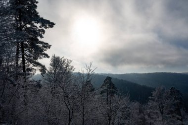 Kar ve ormanla kaplı bir manzara