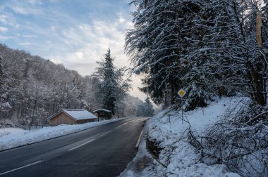Ağaçlı kar manzarası, yol ve bulutlu mavi gökyüzü, Almancada 
