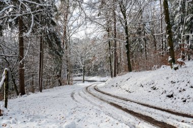 Ağaçlarla kaplı kar manzarası ve orman yolu