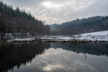 Ormanlı küçük bir göl ve karlı kışın suda yansıyan yansımalar.