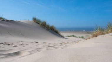Hollanda 'daki Kuzey Denizi kıyısında, deniz kenarındaki kumulların üzerinde mavi bir gökyüzü var.