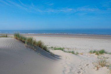 Hollanda 'daki Kuzey Denizi kıyısında, deniz kenarındaki kumulların üzerinde mavi bir gökyüzü var.