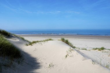 Hollanda 'daki Kuzey Denizi kıyısında, deniz kenarındaki kumulların üzerinde mavi bir gökyüzü var.