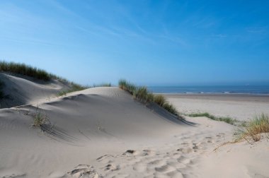 Hollanda 'daki Kuzey Denizi kıyısında, deniz kenarındaki kumulların üzerinde mavi bir gökyüzü var.