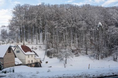 In the forest with snow, house  and blue sky. clipart