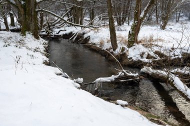 Kışın ağaç ve karla kaplı nehir manzarası