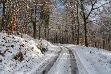 Spessart, Bavyera, Almanya 'da güneşli bir kış gününde tarla yolu olan ormandaki ağaçlar karla dolu.