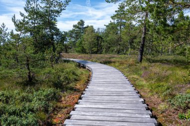 Black moor in the Rhoen, Bavaria, Germany, in summer  with Heather and  a new moor path clipart