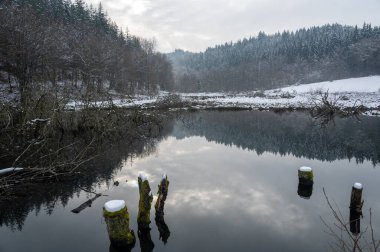 Suda ağaç gövdeleri olan küçük bir göl, ormanla birlikte ve sudaki yansımalarla, kışın karla