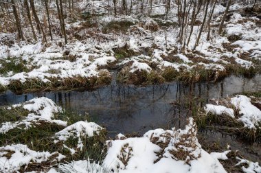 Winter landscape on a small river with snow clipart