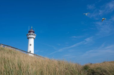 Yaklaşma. 28 metre yüksekliğindeki deniz feneri J.C.J. Egmond 'daki van Speijk aan Zee, Kuzey Hollanda, Hollanda, kumsaldaki kumullarda ve kuşlarla